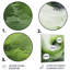 «Green and White Whsipering Abstract Spiral III», art mural spirales abstraites en métal-773491321