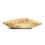 Prospect Park Square Velvet Pillow Cover & Insert-75305435-75305430