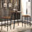 Eva-Maria Counter Stool with Metal Frame (Set of 2)