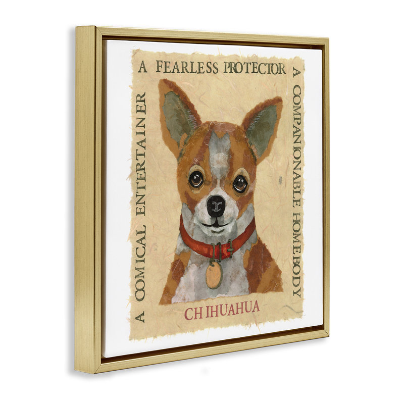 «Fun Chihuahua Pet», art mural encadré flottant par Nancy Overton, Cadre flottant métallique doré, H 25 po x l 25 po