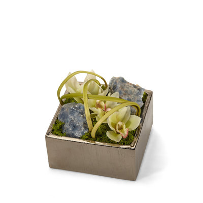 Orchids Floral Arrangement in Planter