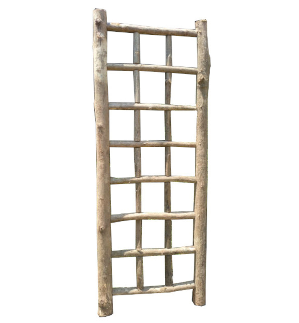 72'' H x 28'' W Wood Lattice Panel Trellis MGP