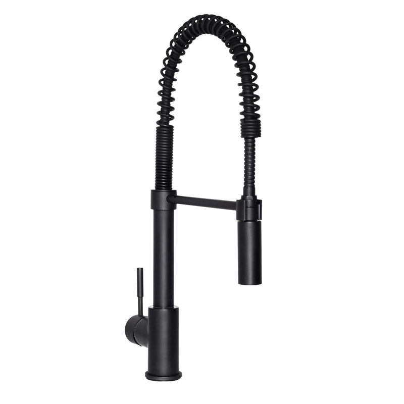 Robinet de cuisine Allora USA, Noir mat