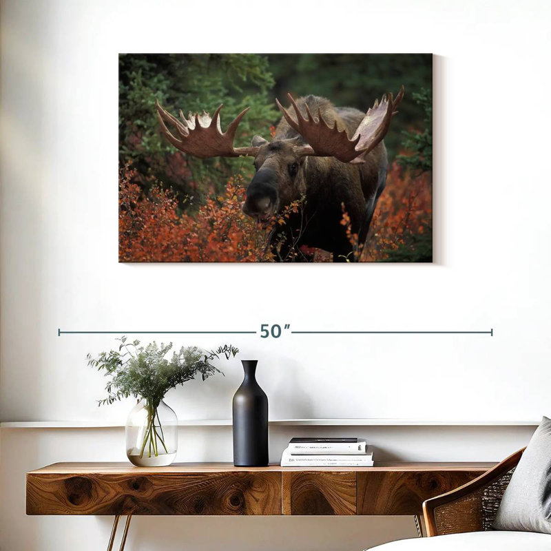 Repas Brampt Moose Forest, H 24 po x l 36 po