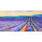 Lavender Fields - Botanical Bathroom Framed Canvas Decor