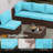 Abbel Outdoor 3.5'' Replaceable Cushion Set Seat and Back Cushions (Set of 6 Cushions, 6 Backrests, 2 Corner Cushions)-Cushion Set Only-83527864