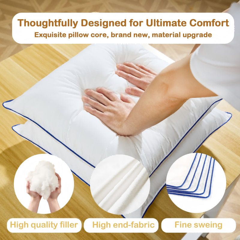 Pillow Insert (Set of 2), Square 18"