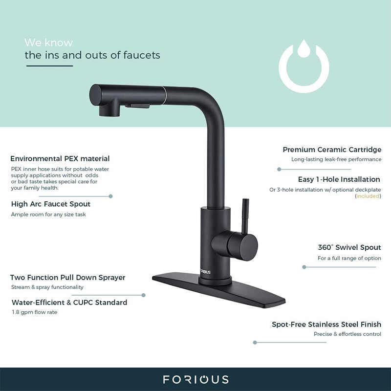 XWSI Pull Out Kitchen Faucet