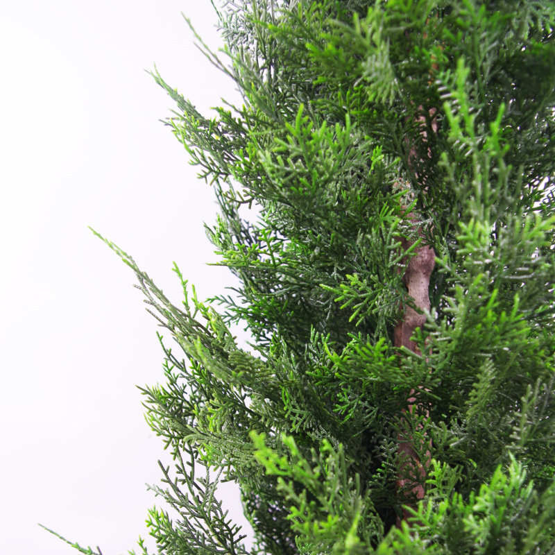 Annistyn Faux Cypress Tree in Pot, 120 cm x 55 cm