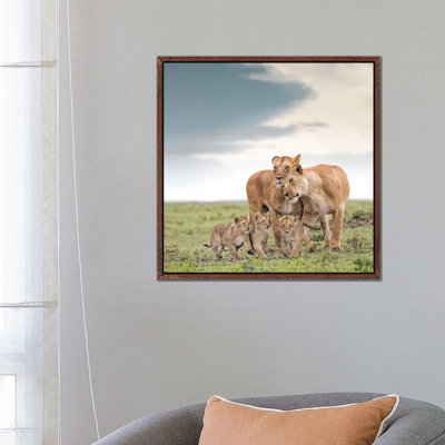 Colour Lioness & Cubs by Klaus Tiedge - Print on Canvas