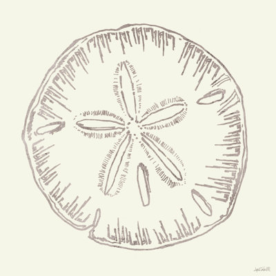 Croquis de coquillages côtiers iv argent