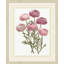 Blush Florals 3 Painting