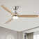 52 In.Intergrated LED Ceiling Fan Lighting with Remote Control