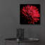 «Red Chrysanthemum On Black» par Tom Quartermaine-1872545881