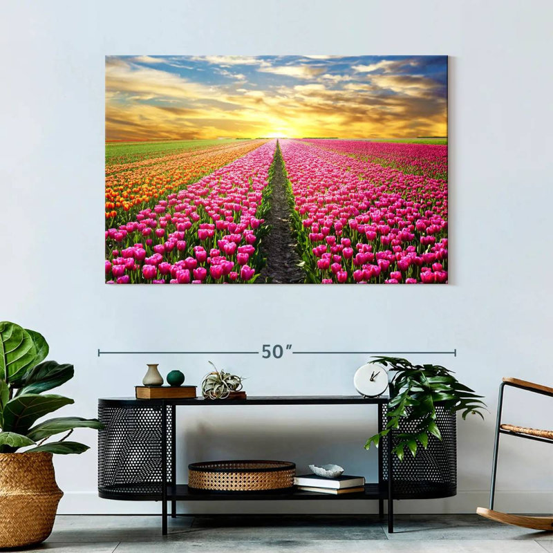 Champ de tulipes, H 32 po x l 48 po