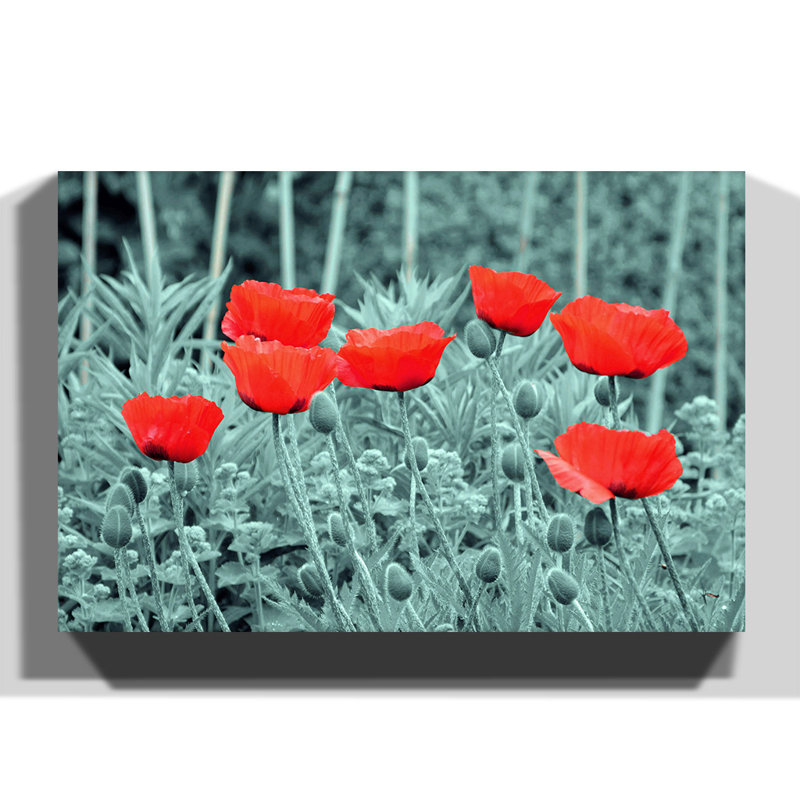 Wrapped Canvas Print, 40cm H x 60cm W