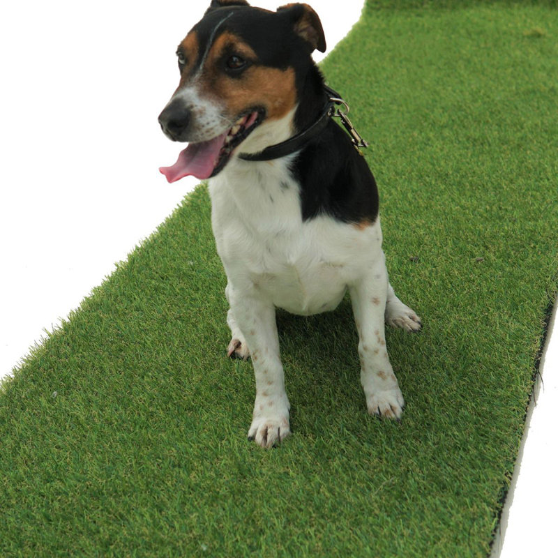 Braxen 25mm Pet-Friendly Artificial Grass, Realistic Fake Grass-1m(3'3") X 4m(13'1")-4m²