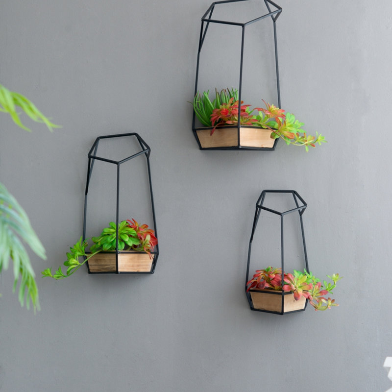 Ensemble de 3 pots à fleurs muraux Felix