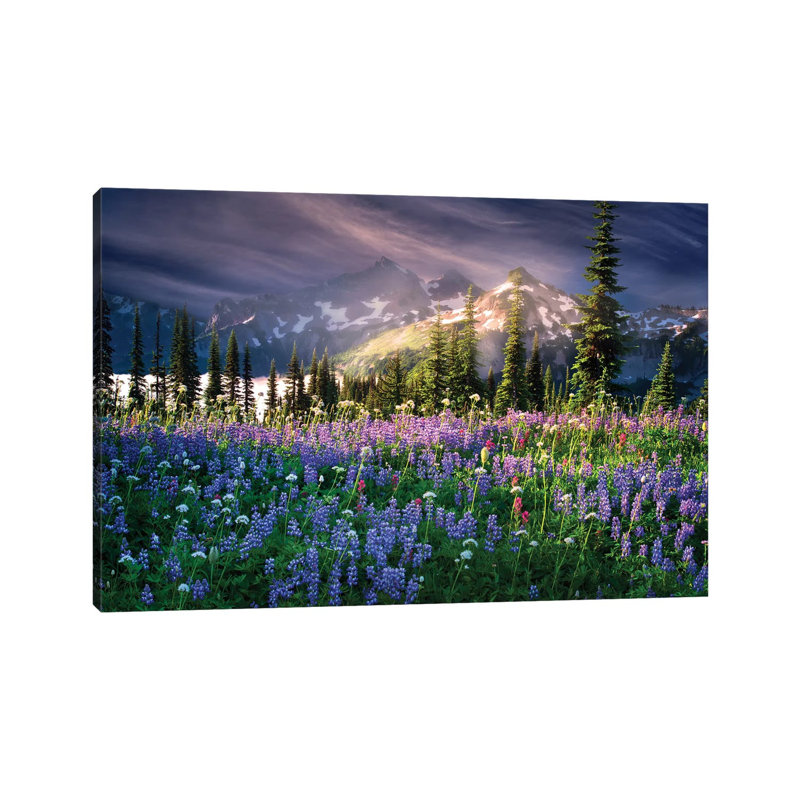 Mountain Wildflowers by Dennis Frates - Print on Canvas, Wrapped Canvas, 45.72cm H x 66.04cm W x 1.91cm D