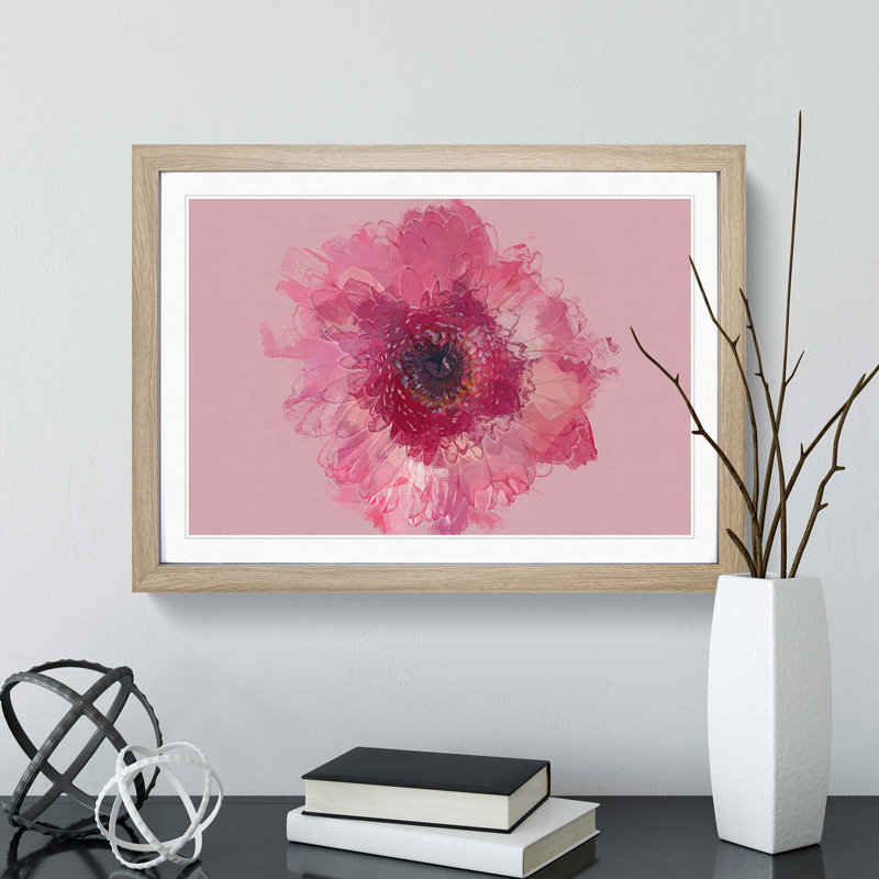 Layers of a Pink Gerbera in Abstract - Picture Frame Graphic Art Print, 27cm H x 36cm W x 2cm D, Oak Framed