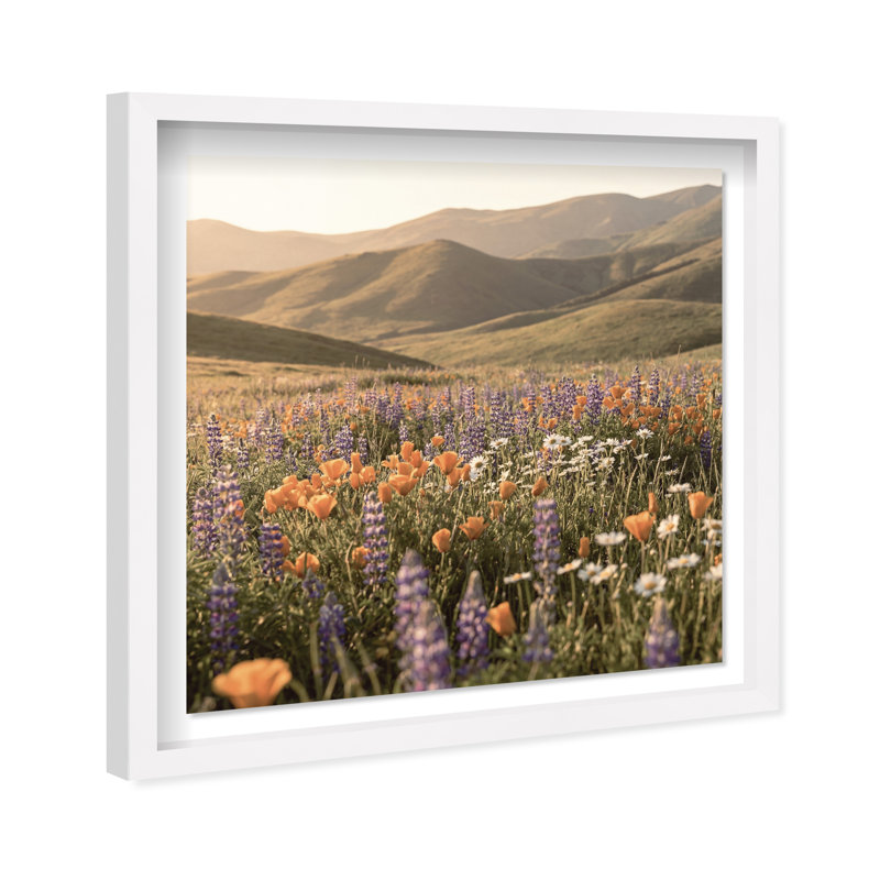 Lavender Hill Print by Oliver Gal, 17.5" H x 17.5" W, White Shadowbox