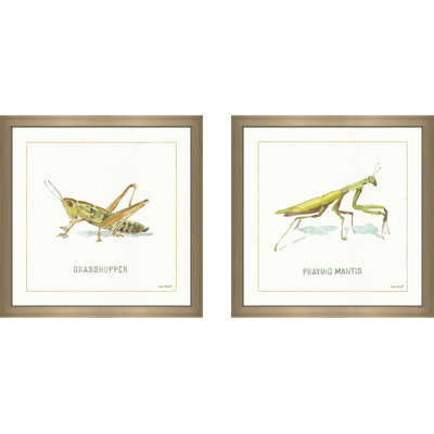 My Greenhouse Grasshopper - Ensemble de 2 reproductions de cadres photo sur papier
