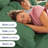 Premium Cooling, Soft & Wrinkle Free Sheet Set - Ultra Soft & Premium Hotel Luxury Bed Sheet Set-127309049-127309073