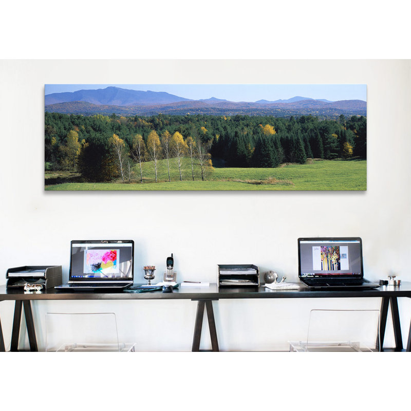«Trees in a forest, Stowe, Lamoille County, Vermont, USA» par Panoramic Images - Reproduction giclée sur toile panoramique