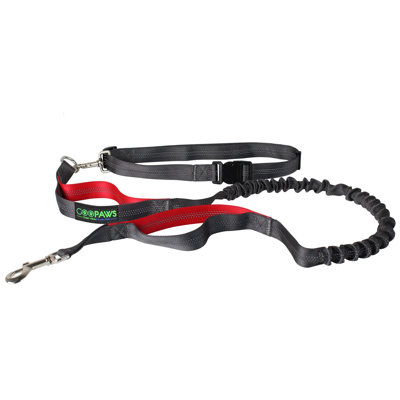 Laisse en bungee mains libres