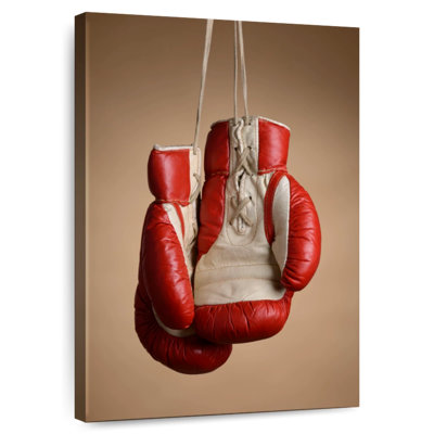 Sireci Hanging Retro Boxing Gloves
