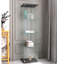 Armoire vitrée noire à 4 tablettes avec une porte - Vitrine pratique à 4 tablettes chic