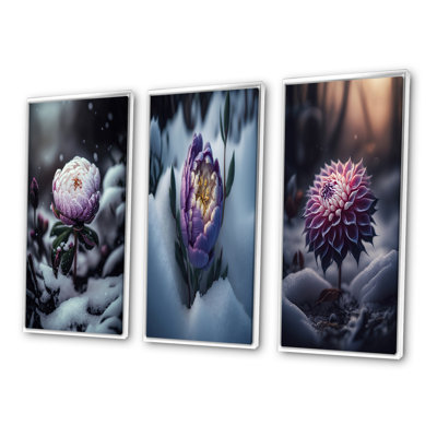 «A Blooming Puple Peony Flower in Winter», ensemble de 3 impressions