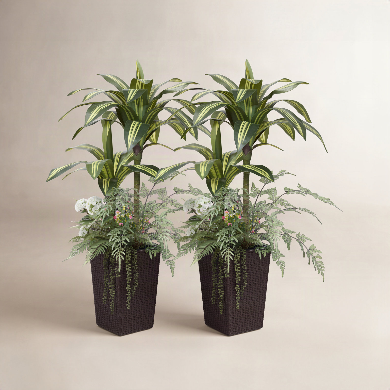 Adcock 48" Dracaena Tree in Decorative Vase, 2, Brown