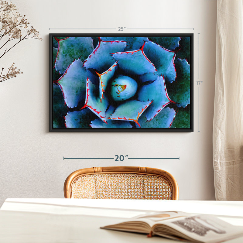 Floral And Botanical " Red Lined Succulent Wall Art ", 17" H x 25" W
