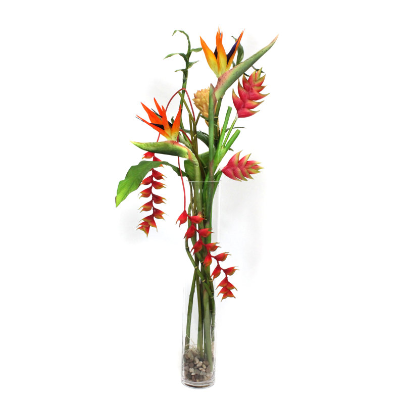 Plante tropicale dans un vase