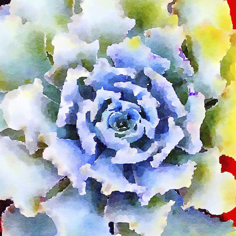 Succulente VII 1 Piece Wrapped Canvas Painting, 91cm H x 91cm W