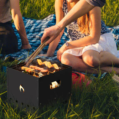 Gyber Fremont Stainless Steel Countertop Wood-Fired Pizza Oven in Silver u0026  Reviews | Wayfair