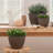 Nova Outdoor Planter Pots -321842847