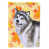 Malamute d’Alaska gris sélectionné