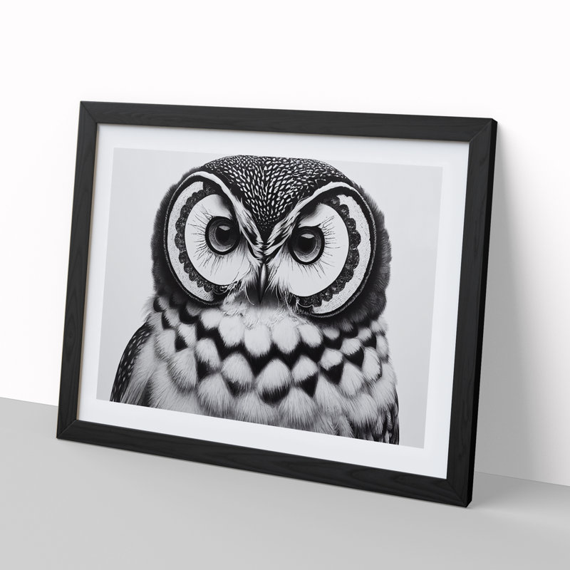 XH1022-9500X Unreal Owl - Single Picture Frame Print, Black Framed, 46cm H x 64cm W x 2cm D