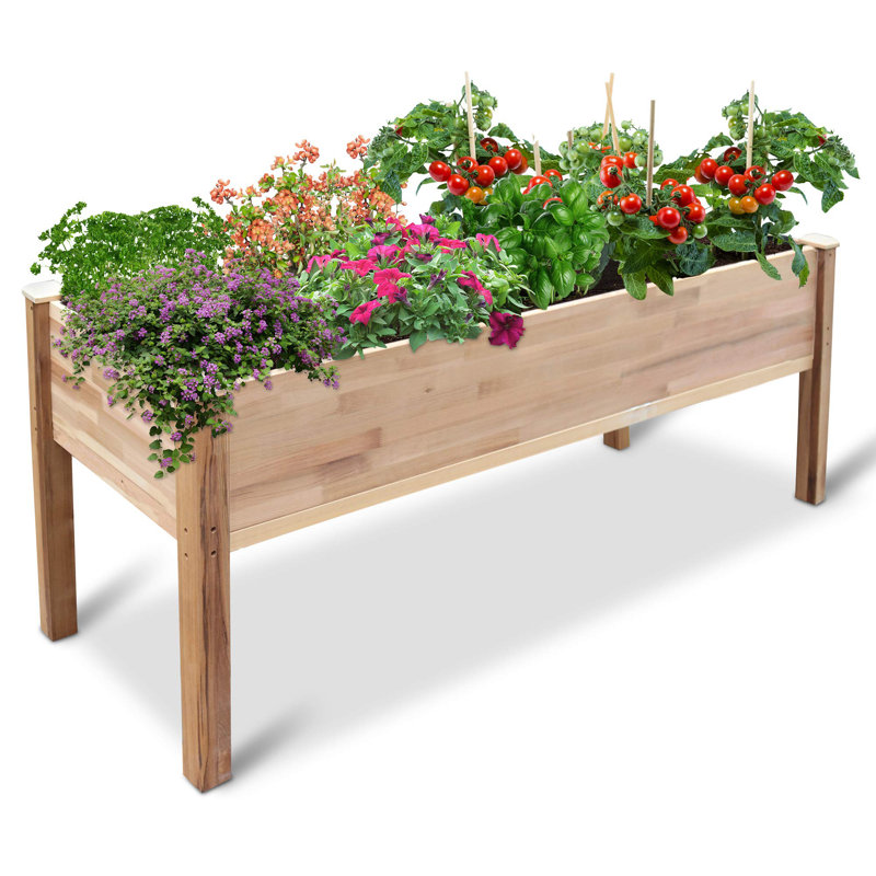 Pot à fleurs surélevé en cèdre Adamo, H 30 po x l 72 po x P 23 po