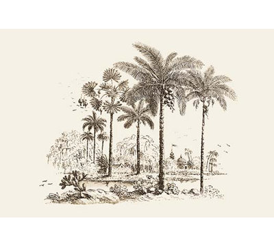 « palm trees » par baron de montalemert, impression