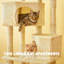 Habitation pour chat 55 po Bineta-1167393301