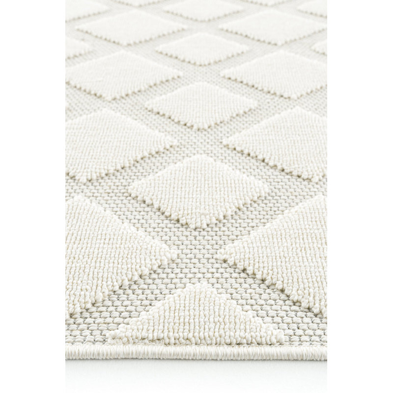 Reyleigh Geometric and Geometric Shapes Indoor / Outdoor Area Rug, Rectangle 2'8" x 4'11"
