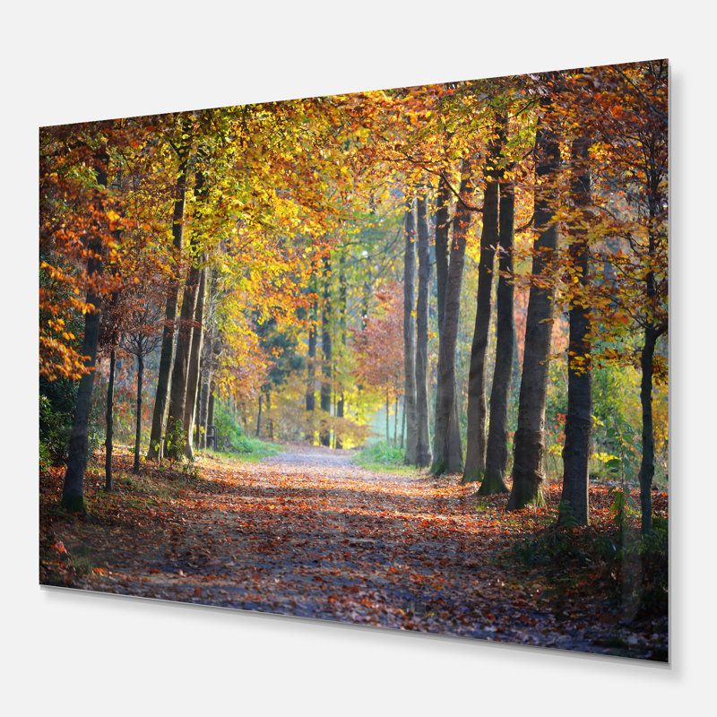 Large sentier dans la forêt d'automne jaune - reproduction de photo, Métal métal, H 34 po x l 44 po x P 4 po