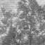 Papier peint mural Ethereal Forest Mist-112696795-112696792