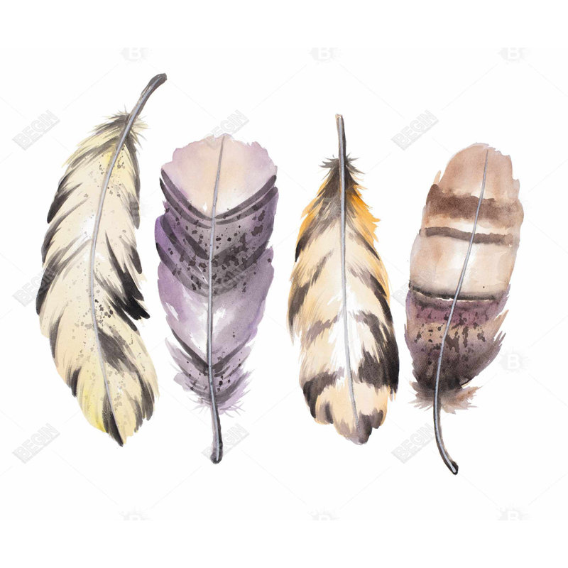 Ensemble de plumes mauves