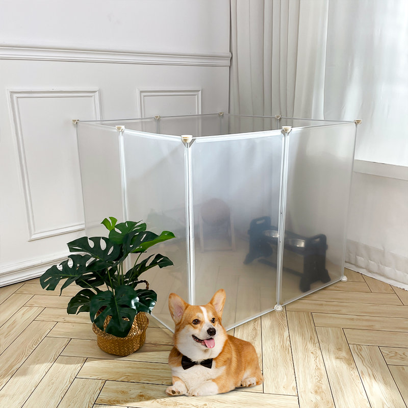 Plastic / Acrylic Collapsible Pet Crate, 75cm H x 90cm W x 90cm D