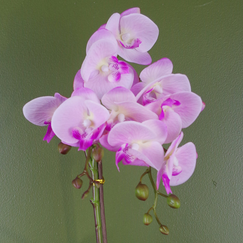 Plastic, Silk Artificial Arrangement in Pot, Pink/White