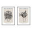 Arte Floreale Set by Romina Gadler-367617898-367617901